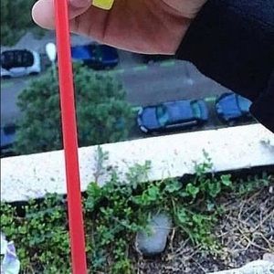 Meet your Posher, Adriana